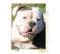 CALVENDO Puzzle Bulldog Anglais 1000 Pieces 48 x 64 cm from Elisabeth Stanzer