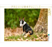 CALVENDO Puzzle Chiot Bull Terrier Assis sur Un Arbre 1000 Pieces 64 x 48 cm from Yvonne Janetzek