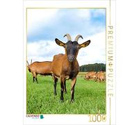 CALVENDO Puzzle Bunte Deutsche Edelziegen, liebenswerte Sturköpfe | 1000 Teile Lege-Größe 64x48cm Foto-Puzzle für glückliche Stunden
