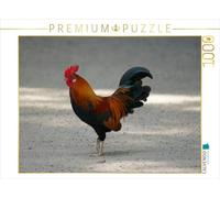 CALVENDO Puzzle Bunter Hahn 1000 Teile Puzzle quer 1000 Pieces 64 x 48 cm from Kattobello