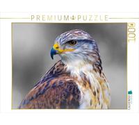 CALVENDO Puzzle Buse Royale à Pattes rudes 1000 Pieces 64 x 48 cm from Astrid Ziemer