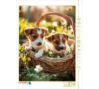 CALVENDO Puzzle But the garden is quite big | 1000 pieces, finished size 25.2 ×