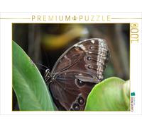 CALVENDO Puzzle Butterflies: Nature's Beneficial Insects-Colorful Exotics | 1000