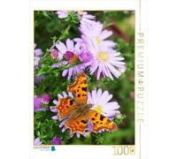 CALVENDO Puzzle C Papillon sur Aster à Feuilles Lisses 1000 Pieces 48 x 64 cm from Gisela Kruse
