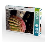 CALVENDO Puzzle Cactus avide de Soleil avec de Jolies épines Rouges 1000 Pieces 48 x 64 cm from Elke Kunkel fotografie