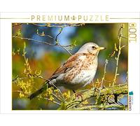 CALVENDO Puzzle Calendrier des Oiseaux 1000 Pieces 64 x 48 cm from Fofino