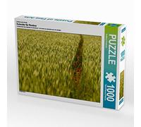 CALVENDO Puzzle Calendrier pour Les retraités 1000 Pieces 64 x 48 cm from Christoph Kolberg