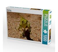 CALVENDO Puzzle Caméléon 1000 Pieces 64 x 48 cm from Gerald Wolf