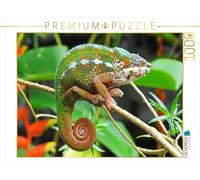 CALVENDO Puzzle Caméléon Panthère aux Couleurs Vives | 1000 pièces de Taille de la Pose 64 x 48 cm Puzzle Photo pour des Heures heureuses