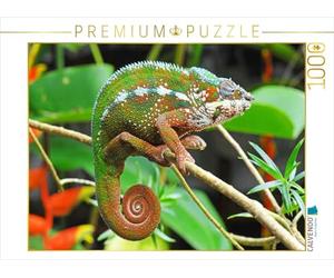 CALVENDO Puzzle Caméléon Panthère aux Couleurs Vives | 1000 pièces de Taille de la Pose 64 x 48 cm Puzzle Photo pour des Heures heureuses