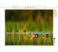 CALVENDO Puzzle Canards dans l'eau Calme 1000 Pieces 64 x 48 cm from Rose Hurley