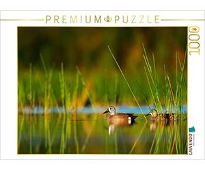 CALVENDO Puzzle Canards dans l'eau Calme 1000 Pieces 64 x 48 cm from Rose Hurley