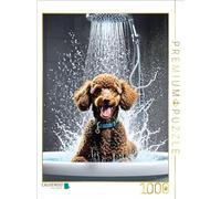 CALVENDO Puzzle Caniche Bien-être - Caniche Joyeux sous la Douche | 1000 pièces Taille de la Pose 48 x 64 cm Puzzle Photo pour des Heures heureuses