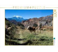CALVENDO Puzzle Canyon de Palca, 3465 m par M., Bolivie 1000 pièces Taille de la Pose 64 x 48 cm Photo Puzzle Image d'Olaf Bruhn