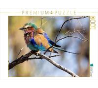 CALVENDO Puzzle Carapace Fourche avec Poitrine Violette au Botswana | 1000 pièces Taille de la Ponte 64 x 48 cm Puzzle Photo pour des Heures heureuses
