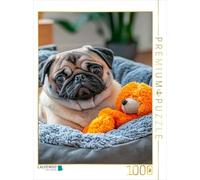 CALVENDO Puzzle Carlin et Son Ours en Peluche | 1000 pièces de Taille 48 x 64 cm Puzzle Photo pour des Heures heureuses