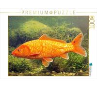 CALVENDO Puzzle Carpe de Brocart Koi avec écailles réfléchissantes. 1000 pièces de Taille 64 x 48 cm