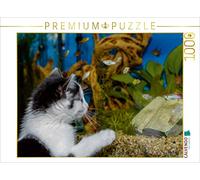 CALVENDO Puzzle Cat Hope et Le Poisson 1000 Pieces 64 x 48 cm from Anna Kropf