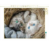 CALVENDO Puzzle Cats Illustrations | 1000 pièces Taille de la Pose 64 x 48 cm Puzzle Photo pour des Heures heureuses