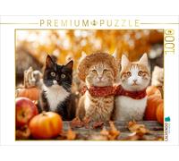 CALVENDO Puzzle Cats in autumn among pumpkins and apples | 1000 pieces, finished