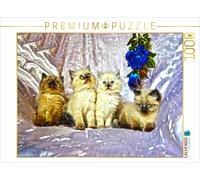 CALVENDO Puzzle Cats in HDR 1000 Teile Puzzle quer 1000 Pieces 64 x 48 cm from Jennifer Chrystal