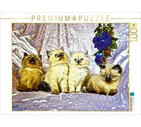 CALVENDO Puzzle Cats in HDR 1000 Teile Puzzle quer 1000 Pieces 64 x 48 cm from Jennifer Chrystal