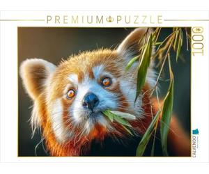 CALVENDO Puzzle Ceci est Le Plat préféré | 1000 pièces de Taille de la Pose 64 * 48cm Photo Puzzle pour des Heures heureuses