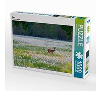 CALVENDO Puzzle Cerf 1000 Pieces 64 x 48 cm from Andreas Kretschmar