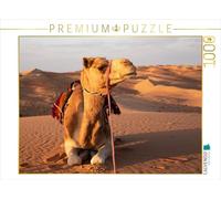 CALVENDO Puzzle Chameau au Repos dans Le désert, Wahiba Sands 1000 pièces, Taille de la Ponte, 64 x 48 cm, Photo Puzzle Image de Jürgen Bochynek