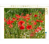 CALVENDO Puzzle Champ de Coquelicots 1000 Pieces 64 x 48 cm from PuraVida