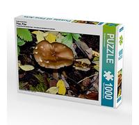 CALVENDO Puzzle Champignons, 1000 pièces, Taille de la Ponte, 64 x 48 cm, Image par Richard Oechsner