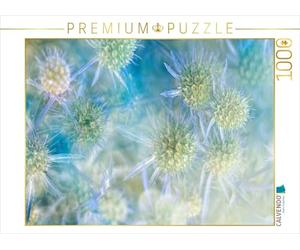 CALVENDO Puzzle Chardon Bleu 1000 Pieces 64 x 48 cm from Martina Cross
