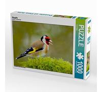 CALVENDO Puzzle Chardonneret élégant 1000 Pieces 64 x 48 cm from Lutz Klapp