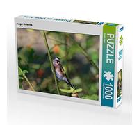 CALVENDO Puzzle Chardonneret Mineur 1000 Pieces 64 x 48 cm from Anette Jäger
