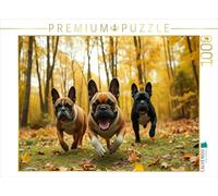 CALVENDO Puzzle Chasse à Travers Les Feuilles d'automne | 1000 pièces Taille de la Pose 64 x 48 cm Puzzle Photo pour des Heures heureuses