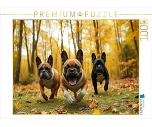 CALVENDO Puzzle Chasse à Travers Les Feuilles d'automne | 1000 pièces Taille de la Pose 64 x 48 cm Puzzle Photo pour des Heures heureuses