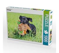CALVENDO Puzzle Chasse au Canard 1000 Pieces 64 x 48 cm from Sista-Tierfoto