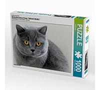 CALVENDO Puzzle Chat Britannique à Poil Court, Un Motif du Calendrier Ange Gris, 1000 pièces, Taille de la Ponte, 64 x 48 cm, Puzzle Photo pour des Heures heureuses