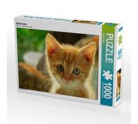 CALVENDO Puzzle Chat Rouge 1000 Pieces 64 x 48 cm from Sabine Löwer