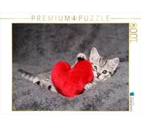 CALVENDO Puzzle Chaton British Shorthair 1000 Pieces 64 x 48 cm from Jeanette Hutfluss