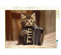 CALVENDO Puzzle Chaton Harmonica | Taille de la Pose cm Puzzle Photo pour des Heures heureuses