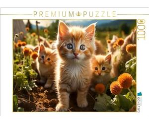 CALVENDO Puzzle Chaton, Ici C'est déjà passionnant et Excitant | 1000 pièces de Ponte Taille 64 x 48 cm Puzzle Photo pour des Heures heureuses