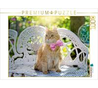 CALVENDO Puzzle Chaton sous Le Soleil du Printemps 1000 Pieces 64 x 48 cm from Elisabeth Stanzer