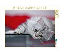 CALVENDO Puzzle Chatons à Poils Longs Britanniques 1000 Pieces 64 x 48 cm from Melanie Viola