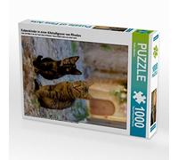 CALVENDO Puzzle Chatons dans Une Ruelle de la Vieille Ville de Rhodes 1000 Pieces 48 x 64 cm from Katho Menden