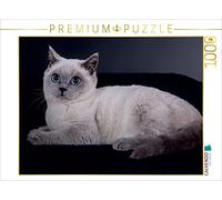 CALVENDO Puzzle Chats British Shorthair 1000 Pieces 64 x 48 cm from WEH-zet
