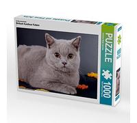 CALVENDO Puzzle Chats British Shorthair 1000 Pieces 64 x 48 cm from WEH-zet