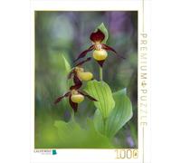 CALVENDO Puzzle Chausson de Femme 1000 Pieces 48 x 64 cm from Moqui
