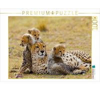 CALVENDO Puzzle Cheetah family | 1000 pieces, finished size 25.2 × 18.9 in (64 ×