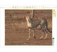 CALVENDO Puzzle Cheetah, South Africa 2017 | 1000 pieces, finished size 25.2 × 1